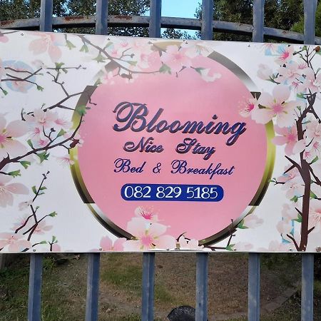 Blooming Nice Stay Harrismith Εξωτερικό φωτογραφία